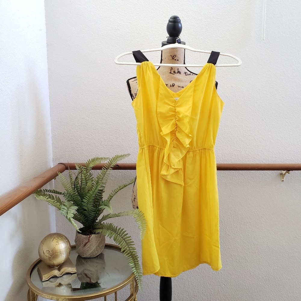 Charming Charlie Sundress